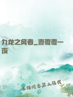 九龙之风者