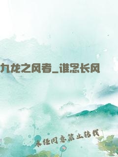 九龙之风者