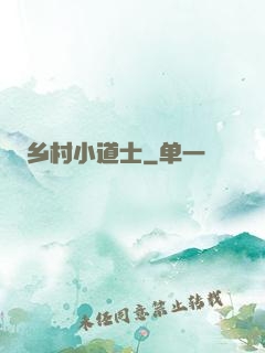 乡村小道士