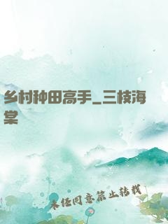 乡村种田高手