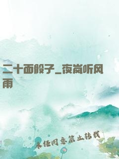二十面骰子