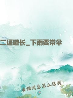 二逼道长