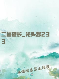 二逼道长