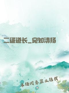 二逼道长