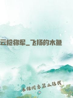 云枪将军