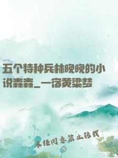 五个特种兵林晚晚的小说森森