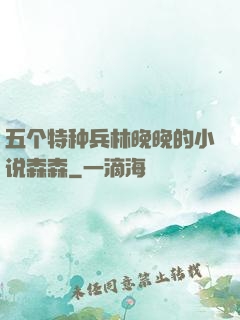 五个特种兵林晚晚的小说森森