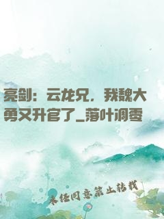 亮剑：云龙兄，我魏大勇又升官了