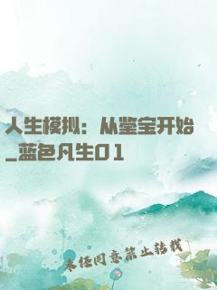 人生模拟：从鉴宝开始