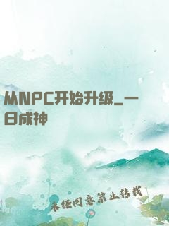 从NPC开始升级