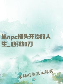 从npc捕头开始的人生