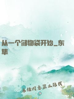 从一个储物袋开始