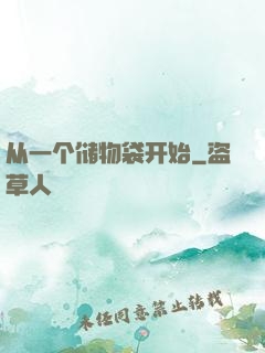 从一个储物袋开始