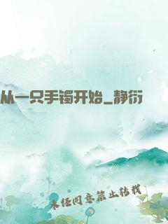 从一只手镯开始