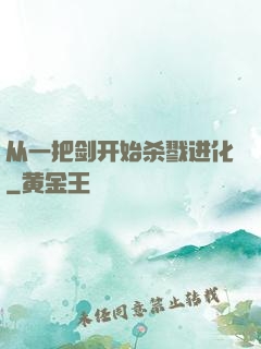 从一把剑开始杀戮进化