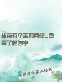 从前有个茉莉网吧