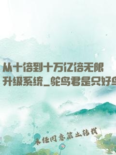 从十倍到十万亿倍无限升级系统