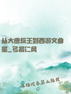 从大唐反王到西游文曲星