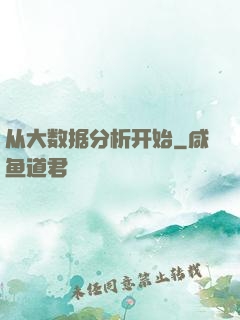 从大数据分析开始