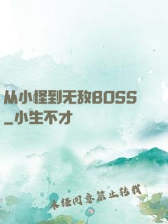 从小怪到无敌BOSS