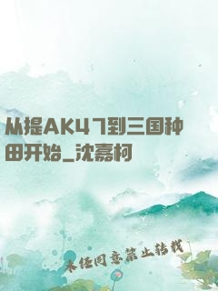 从提AK47到三国种田开始