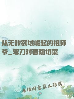 从无敌领域崛起的祖师爷