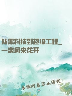 从黑科技到超级工程