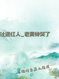 仕途红人