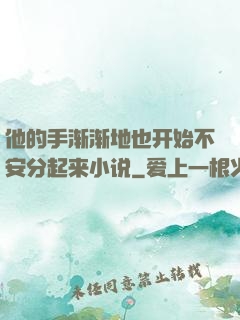 他的手渐渐地也开始不安分起来小说