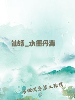 仙婿