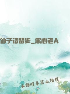 仙子请留步