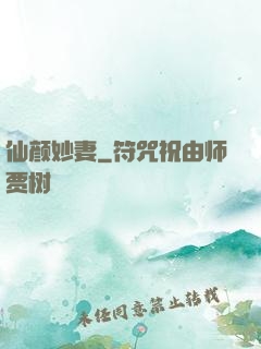 仙颜妙妻