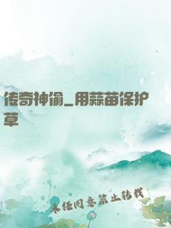 传奇神偷
