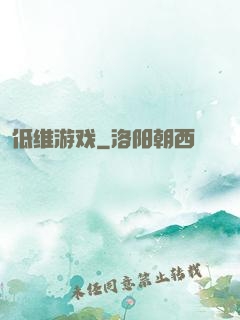 低维游戏