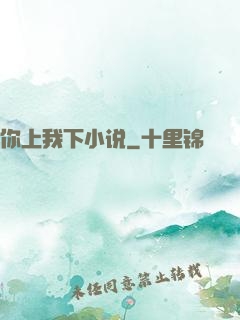 你上我下小说