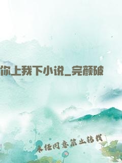 你上我下小说