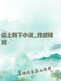 你上我下小说