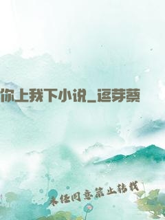 你上我下小说