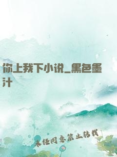 你上我下小说