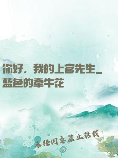 你好，我的上官先生