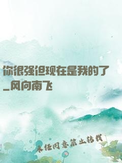 你很强但现在是我的了