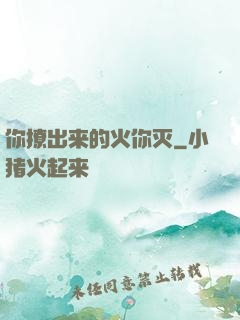你撩出来的火你灭