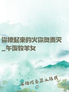 你撩起来的火你负责灭
