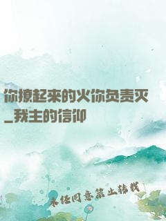 你撩起来的火你负责灭