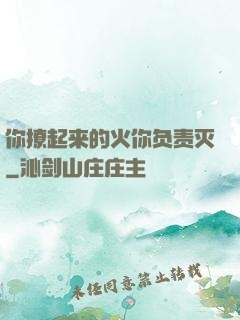 你撩起来的火你负责灭
