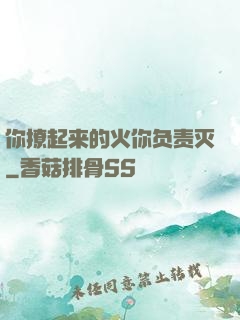 你撩起来的火你负责灭