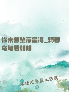 你未曾坠落星海