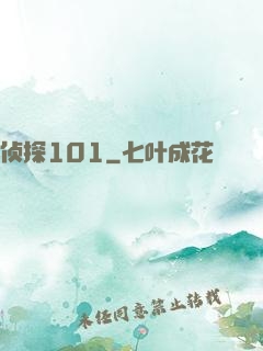 侦探101