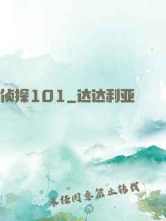 侦探101