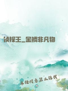 侦探王